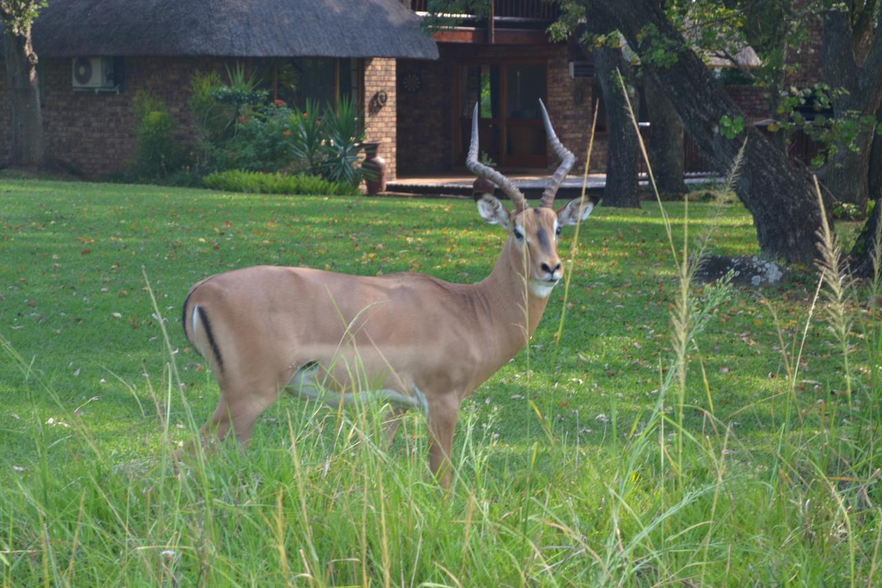 Kruger Park Lodge - Golf Safari Sa Hazyview Exterior foto